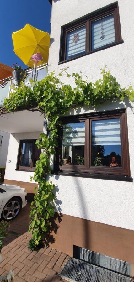 Karibu Apartment Tiefenthal Exterior foto