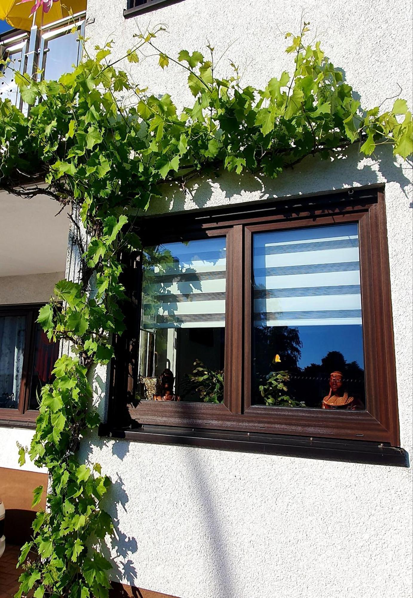 Karibu Apartment Tiefenthal Cameră foto